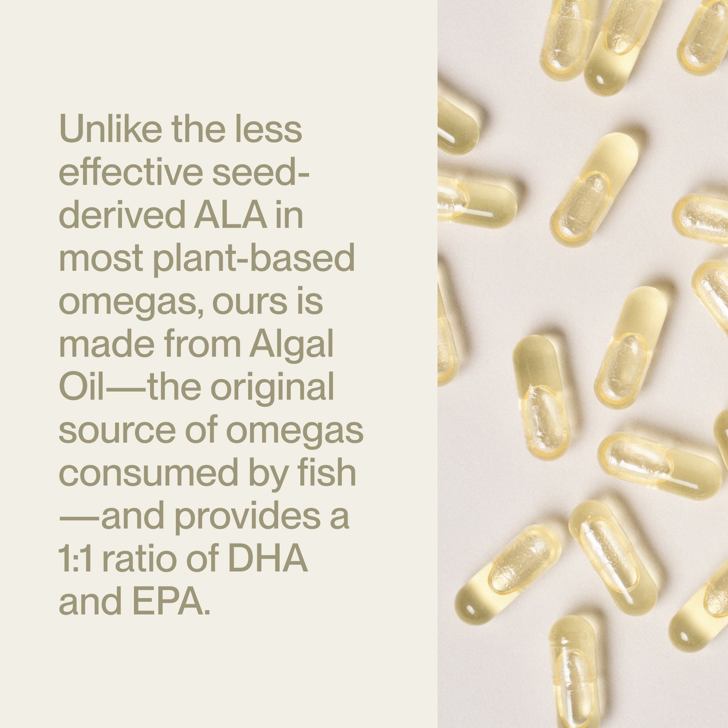 Unlike the less effective seed-derived ALA in most plant-based omegas, ours is made from Algal Oil—the original source of omegas consumed by fish—and provides a 1:1 ratio of DHA and EPA.