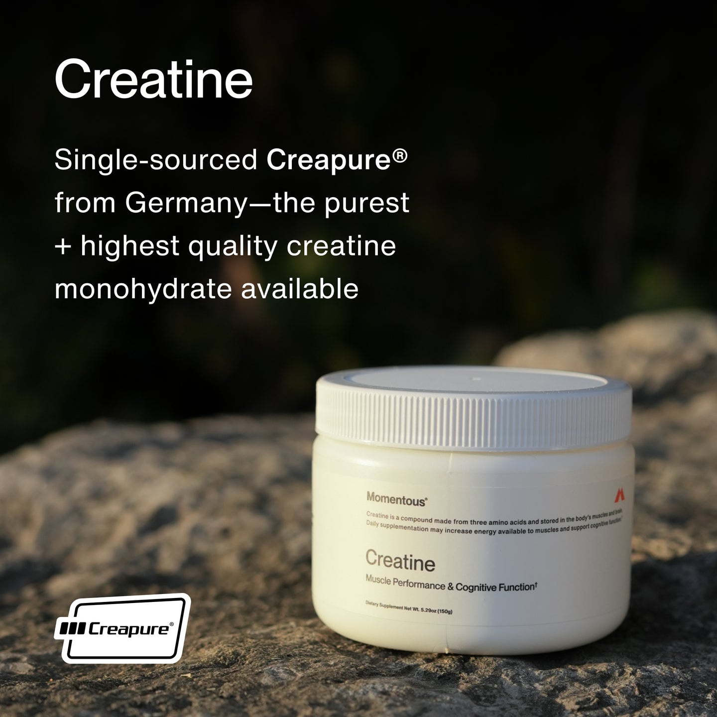 Creatine

Single-sourced Creapure® from Germany—the purest + highest quality creatine monohydrate available.