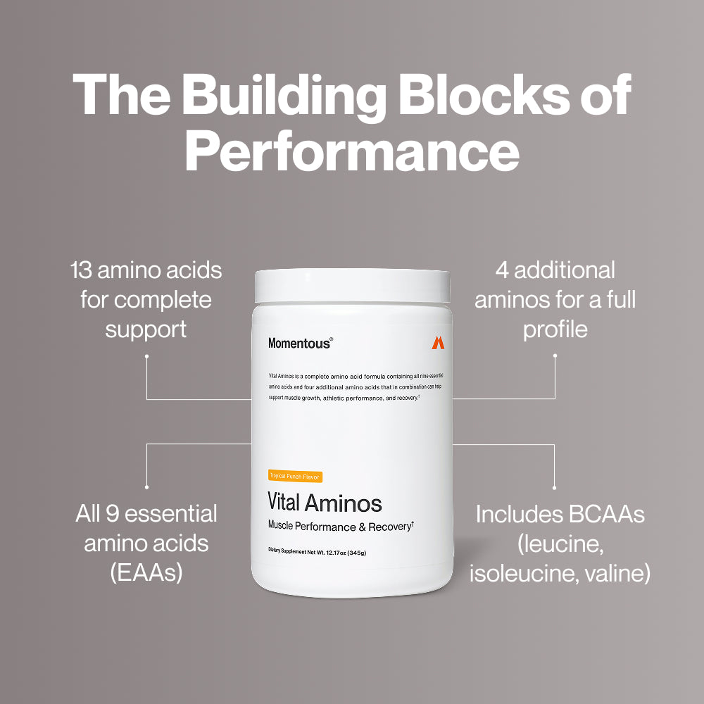 Container with callouts and text: “The Building Blocks of Performance. 13 amino acids for complete support. 4 additional aminos for a full profile. All 9 essential amino acids (EAAs). Includes BCAAs (leucine, isoleucine, valine).”