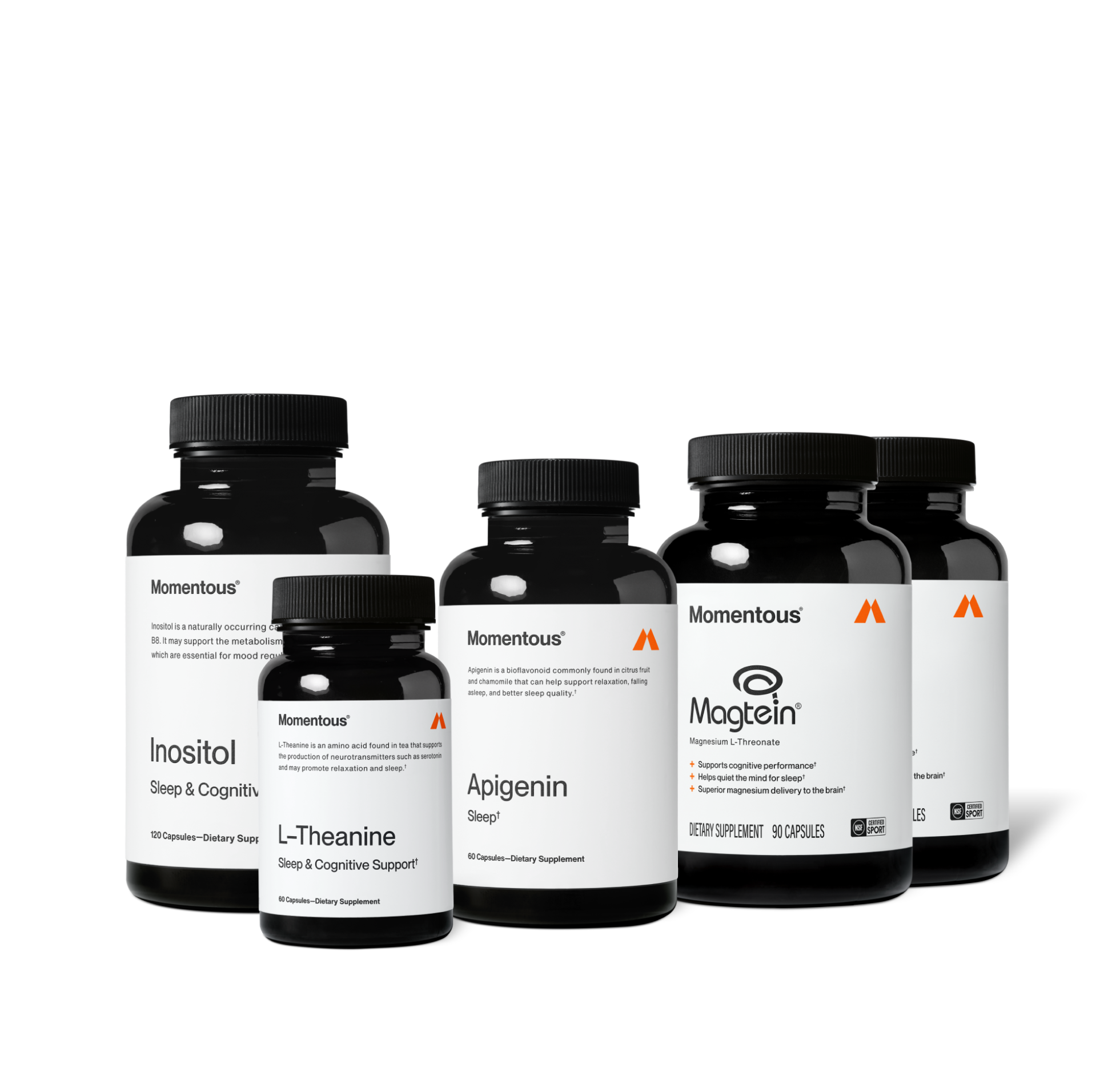 does acetyl l carnitine affect sleep L-Carnitine 500 mg Capsules L-Carnitine in the Treatment of