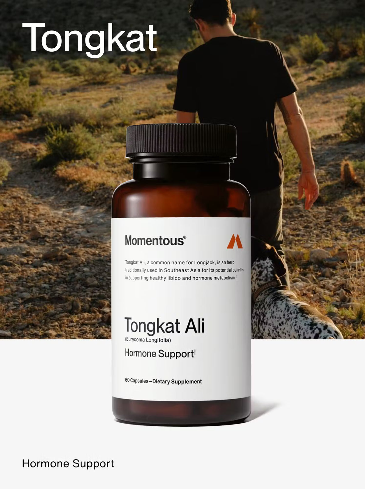 Tongkat Ali