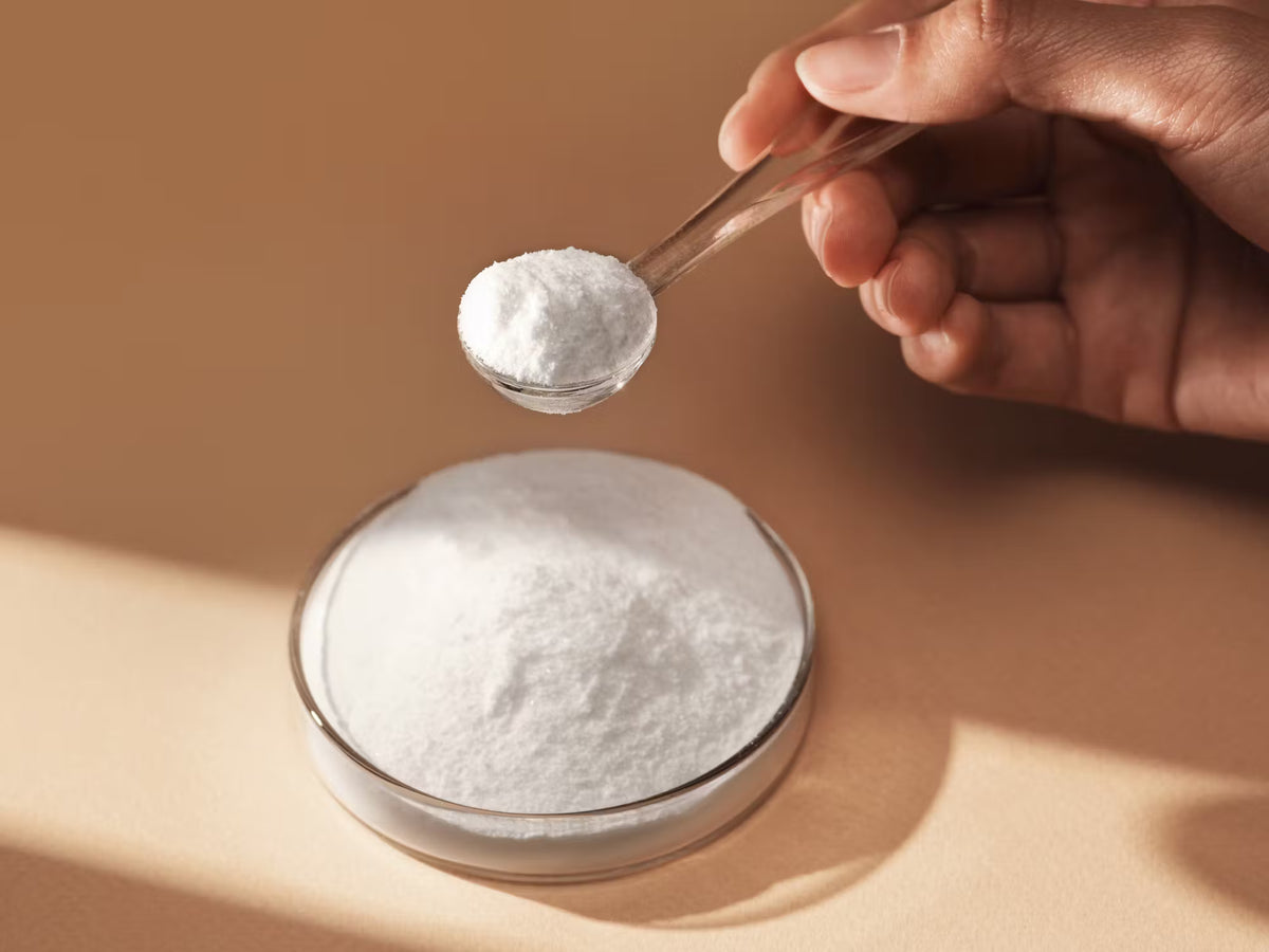 Hand holding a scoop of creatine above a glass bowl filled with the same powder on a beige background.