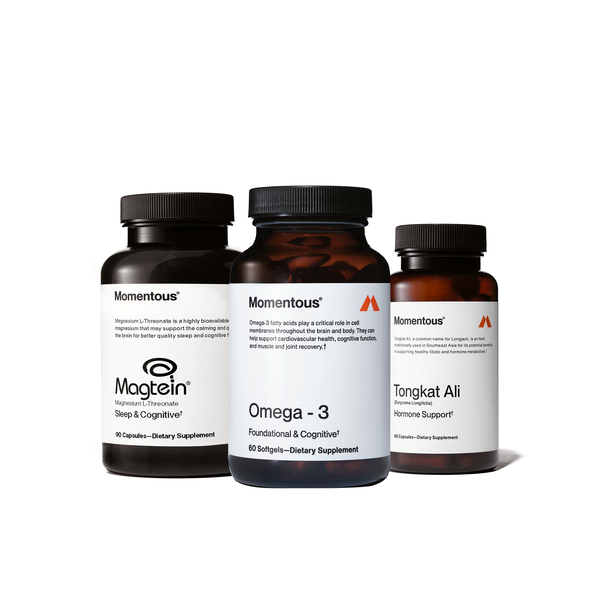 Brain Body Sleep Stack
